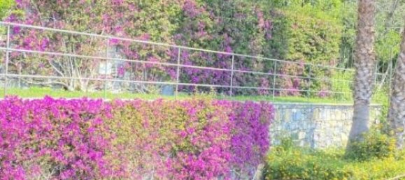 5 rooms Villa in Zoagli, Italy No. 23599 37