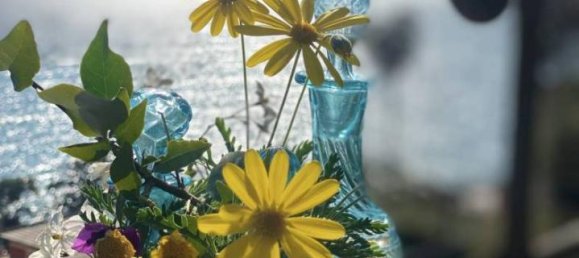 5 rooms Villa in Zoagli, Italy No. 23599 5