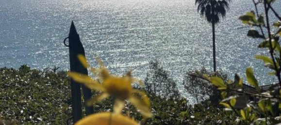 5 rooms Villa in Zoagli, Italy No. 23599 20