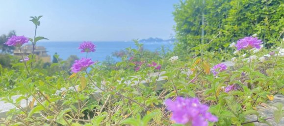 5 rooms Villa in Zoagli, Italy No. 23599 34