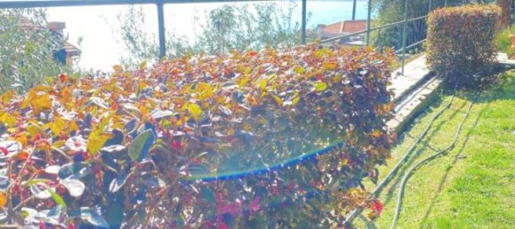 5 rooms Villa in Zoagli, Italy No. 23599 11