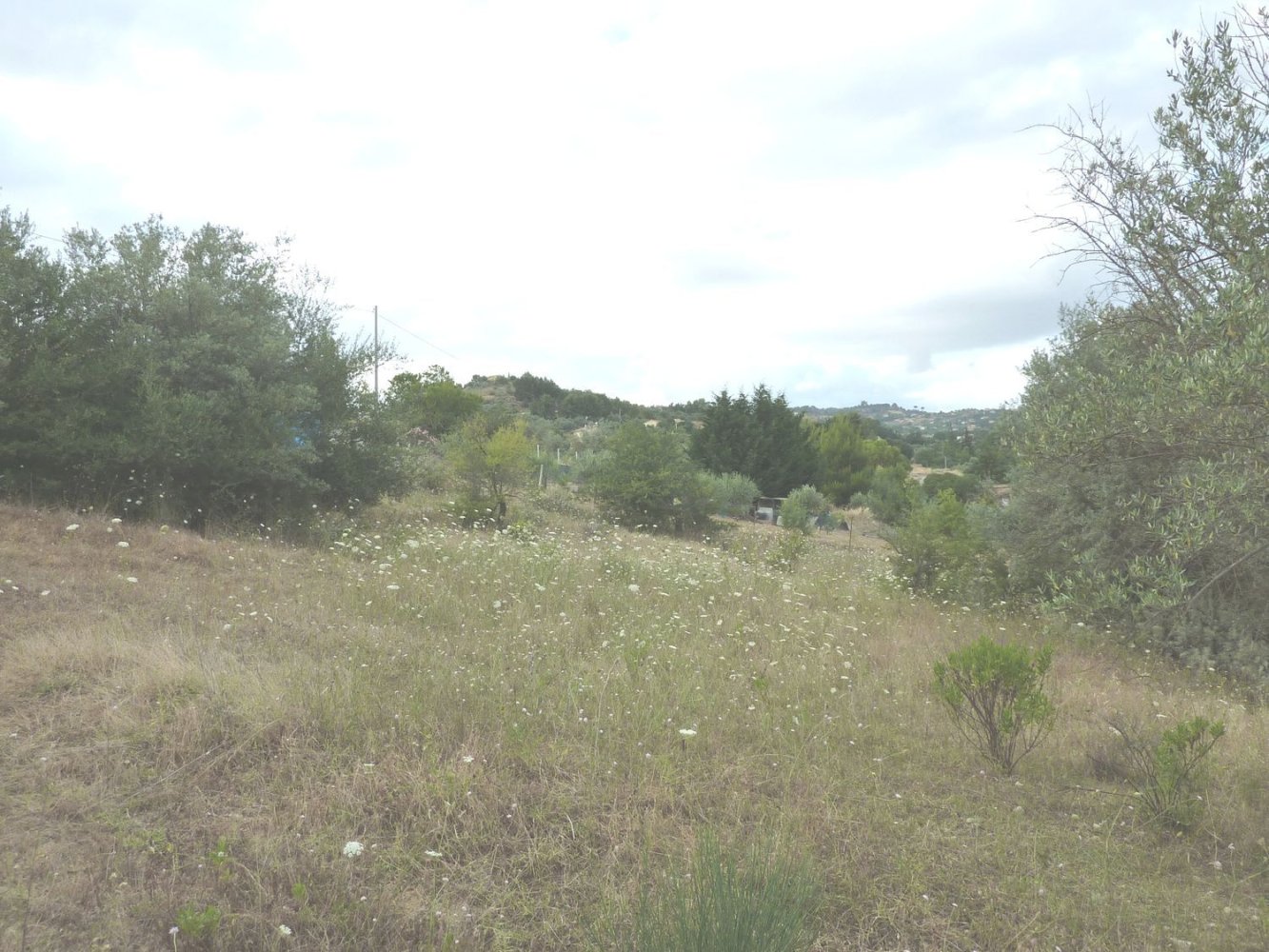  قطعة أرض في San Cataldo, Italy 6800متر مربع رقم 255496