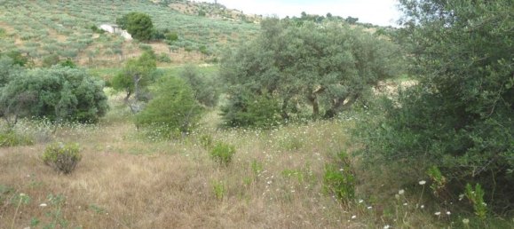  قطعة أرض في San Cataldo, Italy 6800متر مربع رقم 255496 4