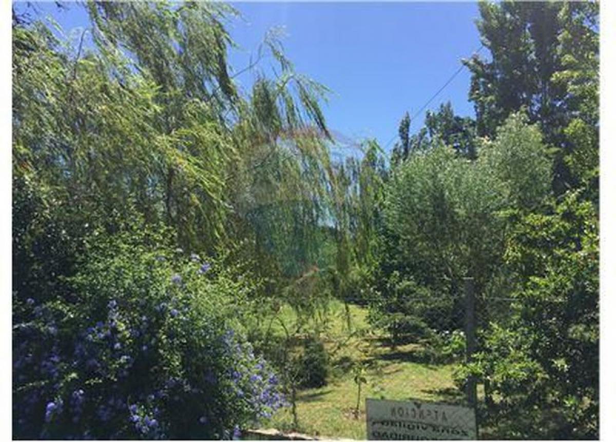 4 chambres Maison à Bermudez, Argentina No. 53785