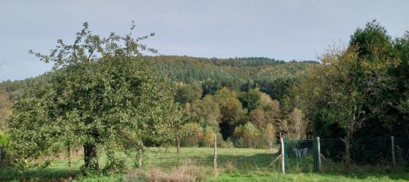 2 bedrooms House in Bitche, France No. 226632 11