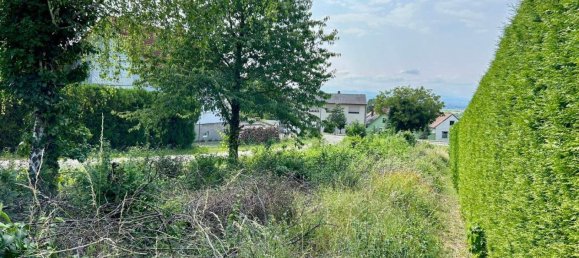 Terreno en Hornstein, Austria 1768 m² No. 79572 5