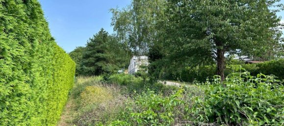 Terreno en Hornstein, Austria 1768 m² No. 79572 6