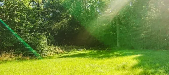 Terrain à Bautzen, Germany No. 202836 2