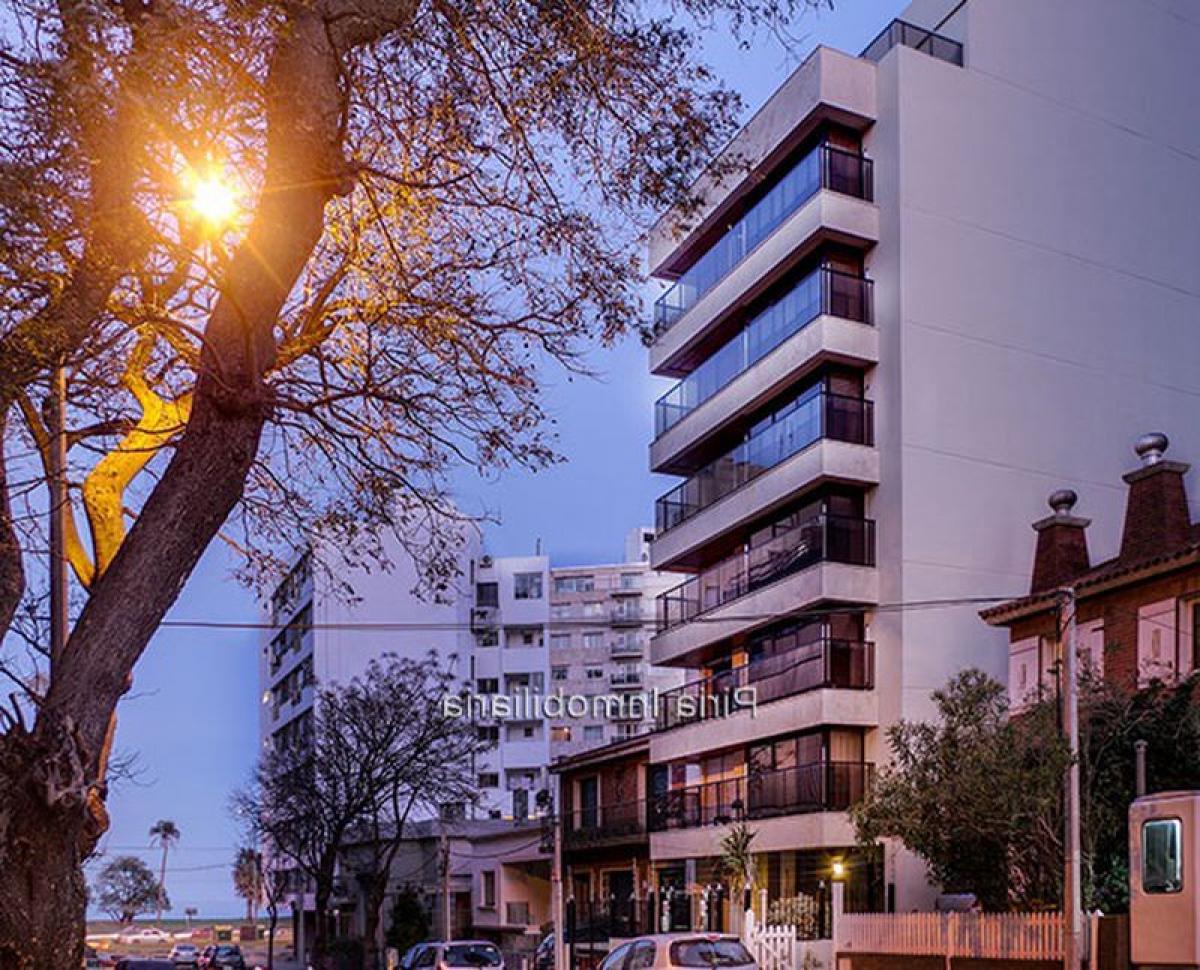 4 bedrooms Apartment in Montevideo, Uruguay No. 444