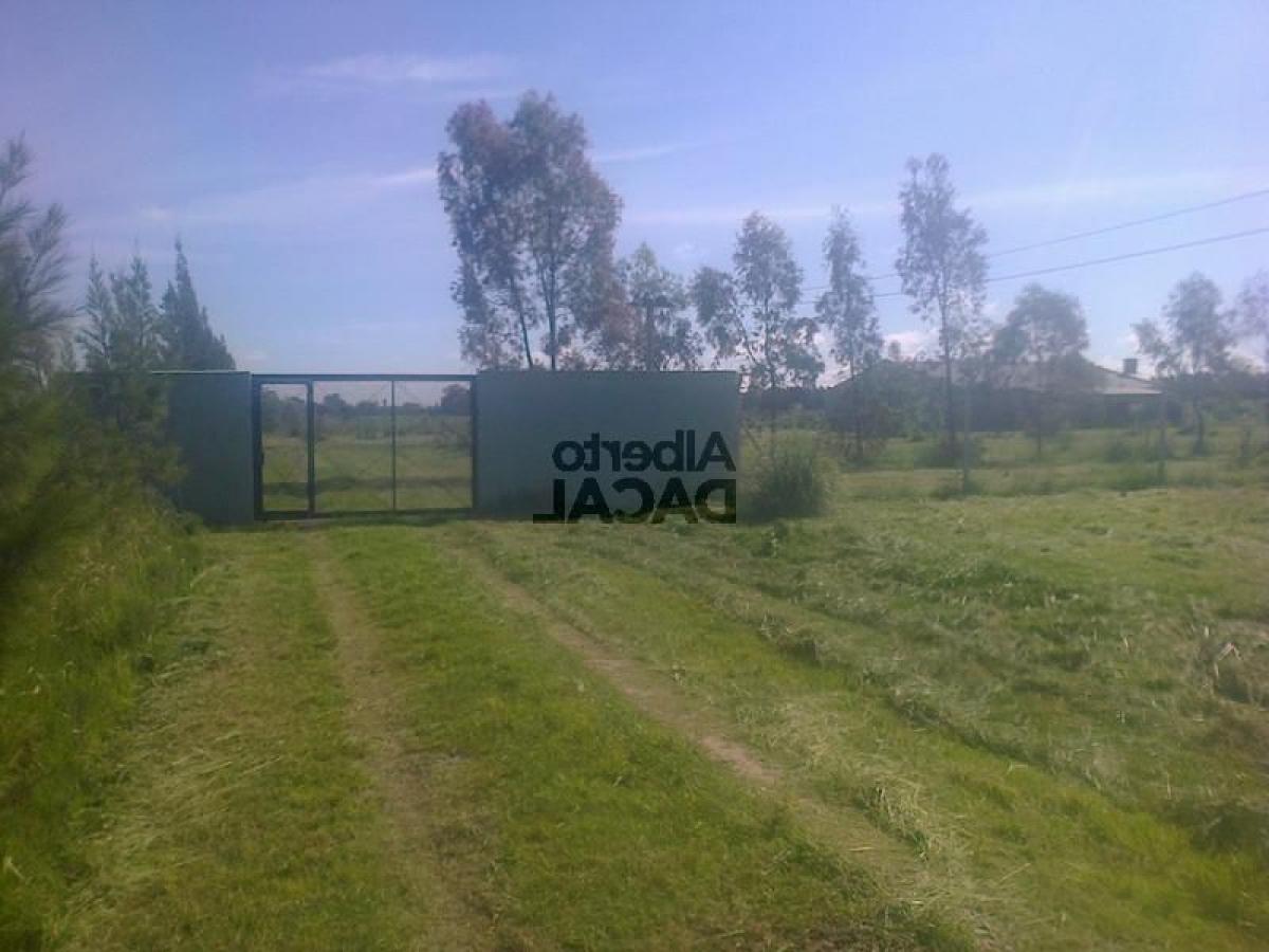 Grundstück in Campo Creado, Argentina, Nr. 33695