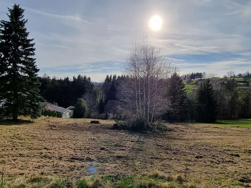Terrain à Pressbaum, Austria No. 95918