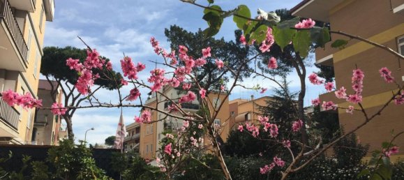 Apartamento T2 em Rome, Italy N.º 314270 39