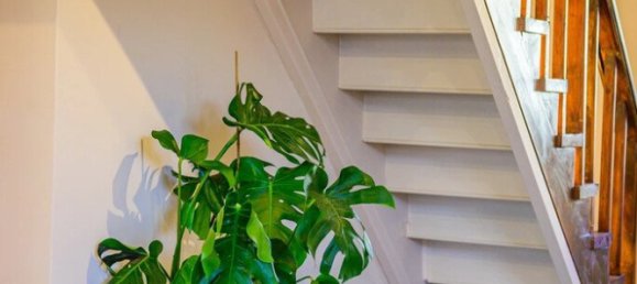 3 chambres Property à Dafni, Greece No. 2198 10