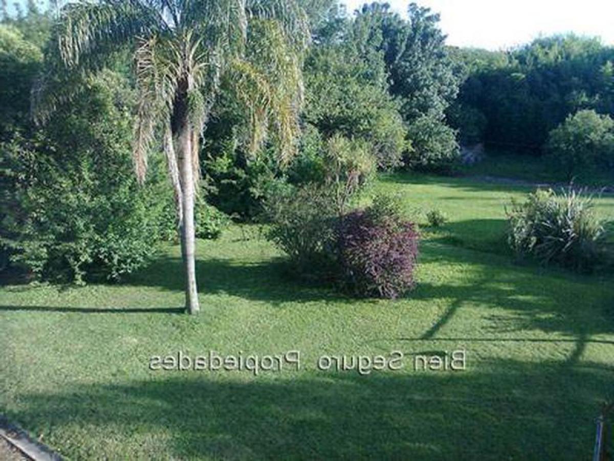 3 bedrooms House in Montevideo, Uruguay No. 1657