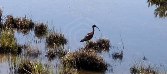  قطعة أرض في Vila Nova de Cacela, Portugal 118050متر مربع رقم 154405 30