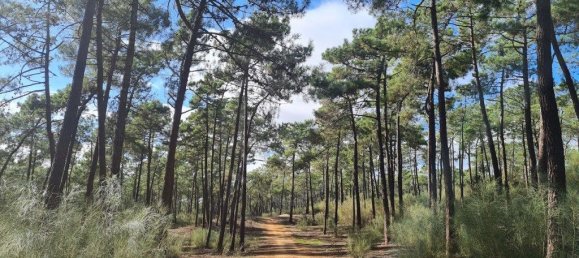  قطعة أرض في Vila Nova de Cacela, Portugal 118050متر مربع رقم 154405 39