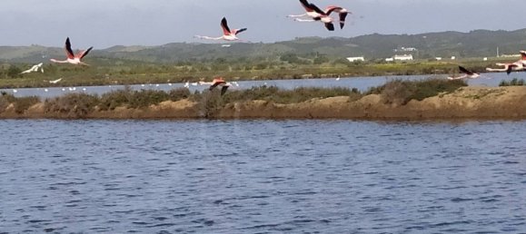  قطعة أرض في Vila Nova de Cacela, Portugal 118050متر مربع رقم 154405 28