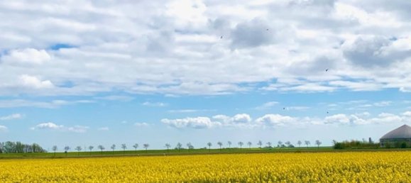 5-Zimmer Haus in Nordfriesland, Germany, Nr. 347670 31