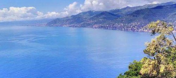 2 Schlafzimmer Wohnung in Camogli, Italy, Nr. 142912 35