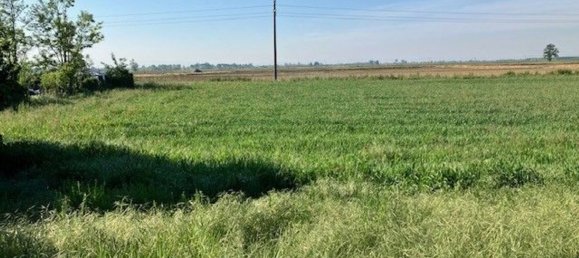 6 Schlafzimmer Haus in Galliavola, Italy, Nr. 359520 3