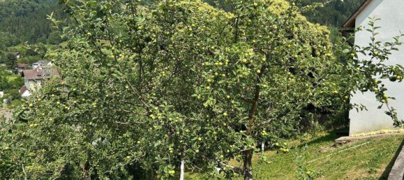 Дом с 5 комнатами в Бернбах, Австрия № 161292 8