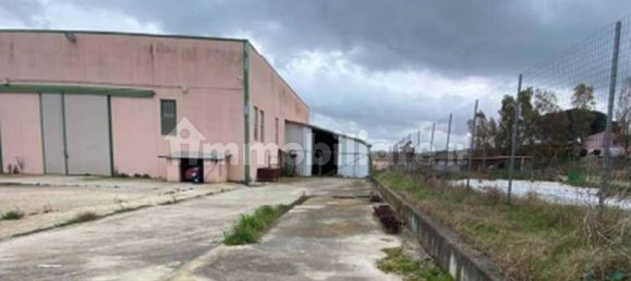 5غرفة مستودع في Tarquinia, Italy رقم 333830 10