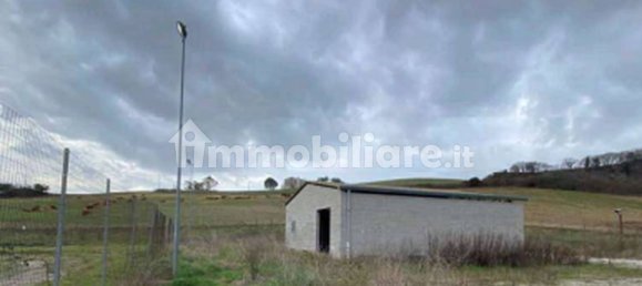 5غرفة مستودع في Tarquinia, Italy رقم 333830 9