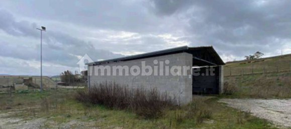 5غرفة مستودع في Tarquinia, Italy رقم 333830 11