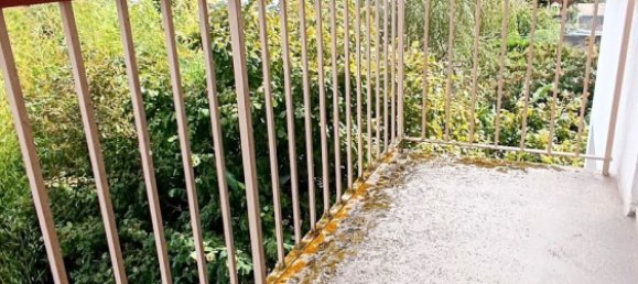 1 bedroom Apartment in Chateauroux, France No. 220080 4