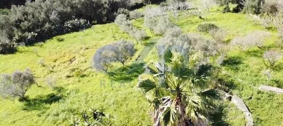  قطعة أرض في Sintra, Portugal 392متر مربع رقم 190212 25