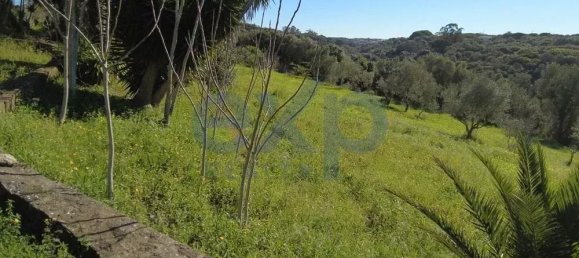  قطعة أرض في Sintra, Portugal 392متر مربع رقم 190212 16