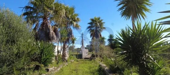  قطعة أرض في Sintra, Portugal 392متر مربع رقم 190212 8