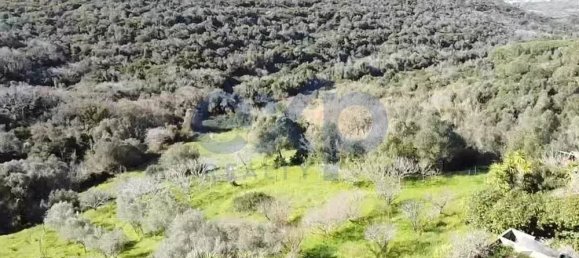  قطعة أرض في Sintra, Portugal 392متر مربع رقم 190212 23