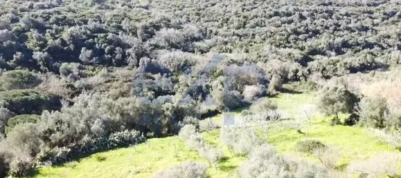  قطعة أرض في Sintra, Portugal 392متر مربع رقم 190212 22