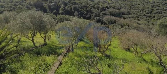  قطعة أرض في Sintra, Portugal 392متر مربع رقم 190212 18