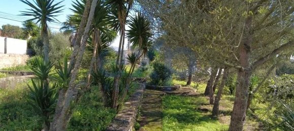  قطعة أرض في Sintra, Portugal 392متر مربع رقم 190212 9