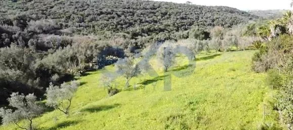  قطعة أرض في Sintra, Portugal 392متر مربع رقم 190212 26