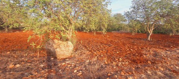 1490m² Land in Loule, Portugal No. 38703 6