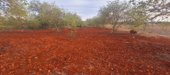 1490m² Land in Loule, Portugal No. 38703 2