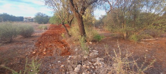 1490m² Land in Loule, Portugal No. 38703 10
