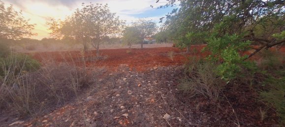 1490m² Land in Loule, Portugal No. 38703 11
