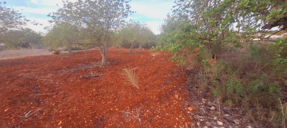 1490m² Land in Loule, Portugal No. 38703 3