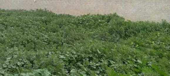 1-salle Terrain à Mazara del Vallo, Italy No. 171902 3