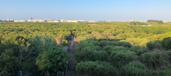 3 chambres Maison à Valencia, Spain No. 139705 16