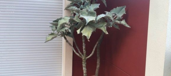 3 chambres Maison à Valencia, Spain No. 139705 37