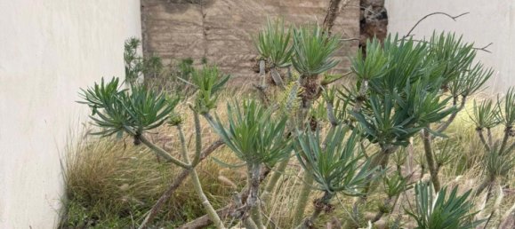  قطعة أرض في Santa Cruz de Tenerife, Spain 95متر مربع رقم 179605 8