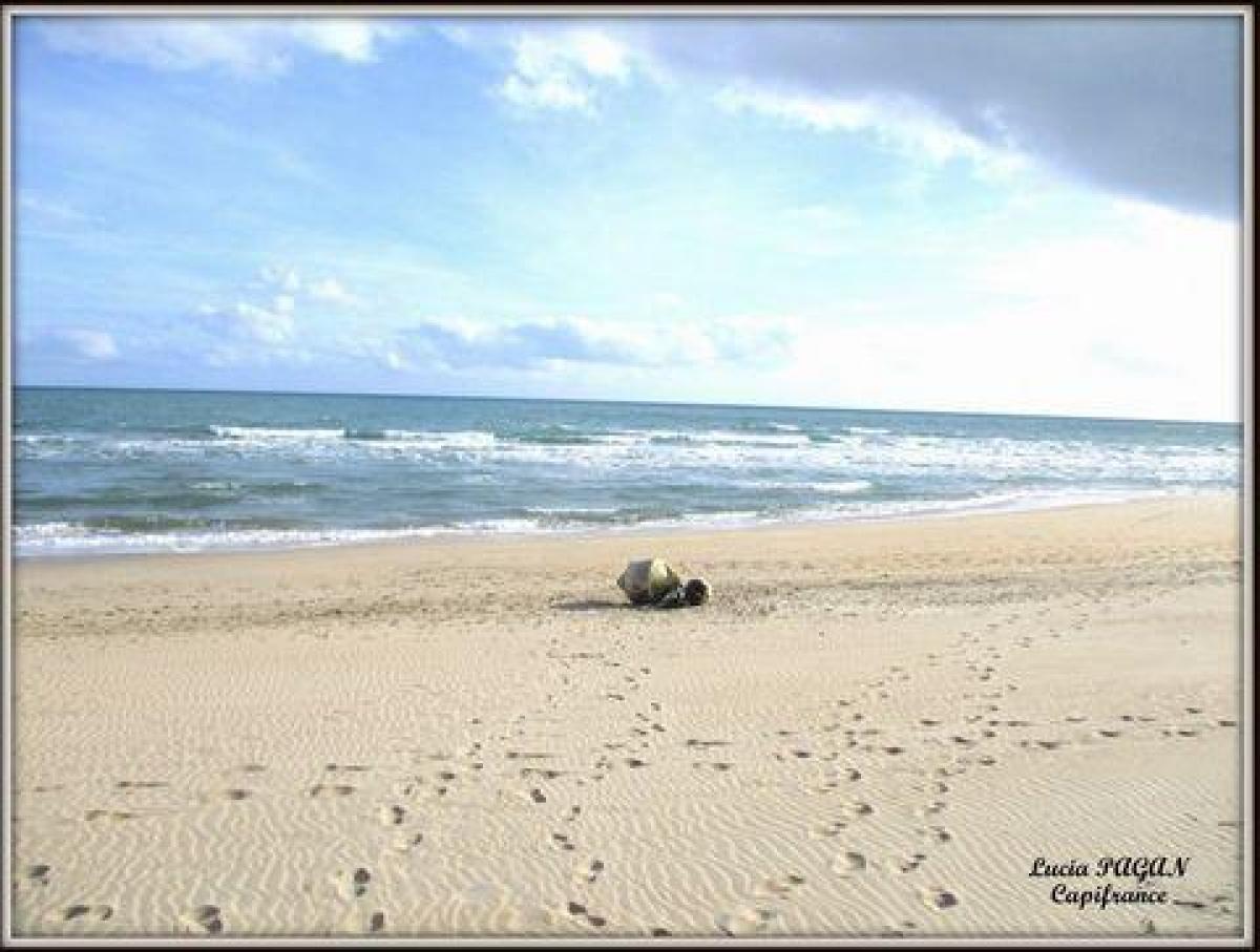 Estudio en el condominio en Marseillan, France No. 35353