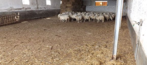 Terreno em Olbia, Italy 100000 m² N.º 183955 8