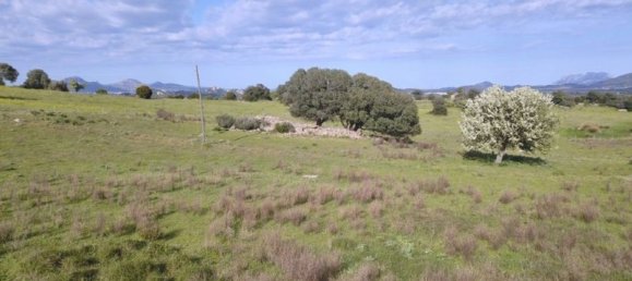 Terreno em Olbia, Italy 100000 m² N.º 183955 5