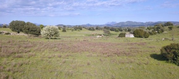 Terreno em Olbia, Italy 100000 m² N.º 183955 15